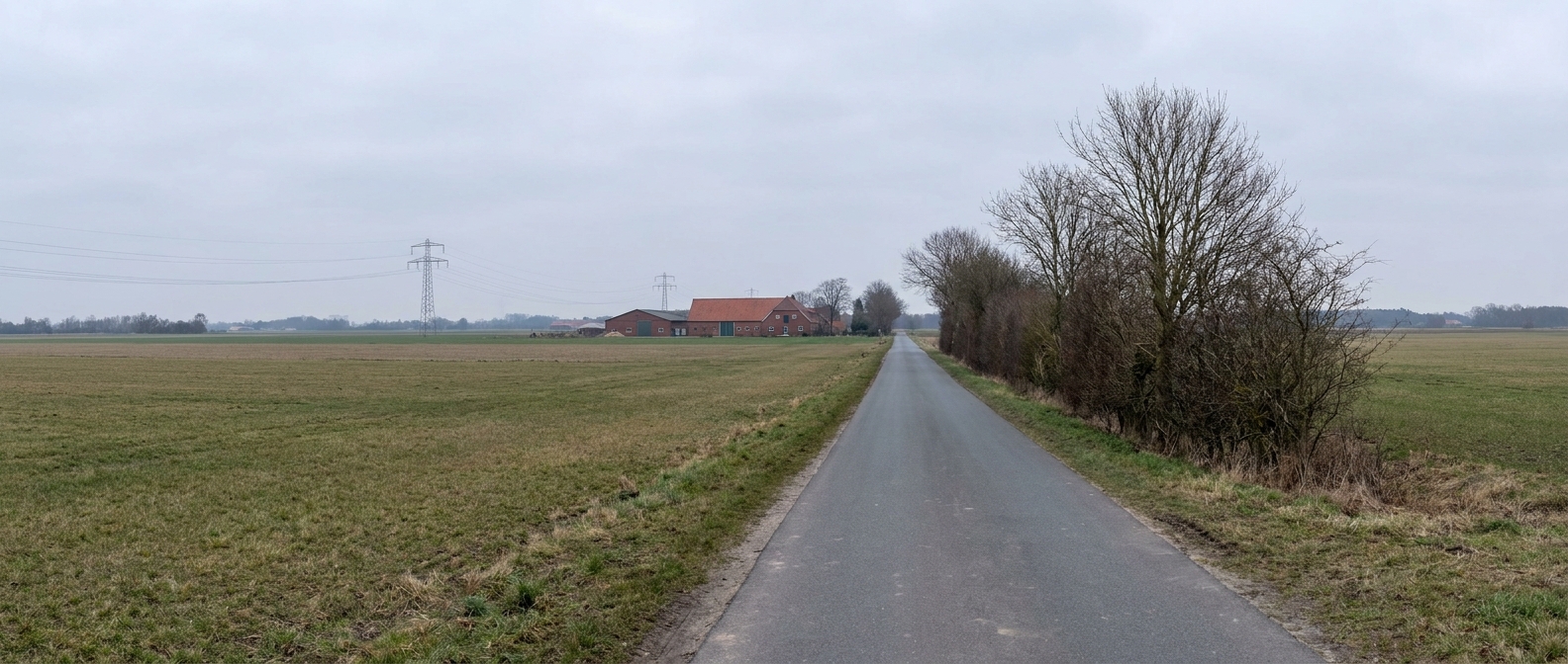 Leere Landstraße durch flache Felder in Schleswig-Holstein, am Horizont ein Backsteinhof und Strommasten